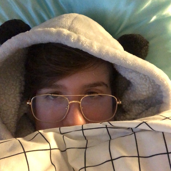 Meet your Posher, Bear - Picture 1 of 1